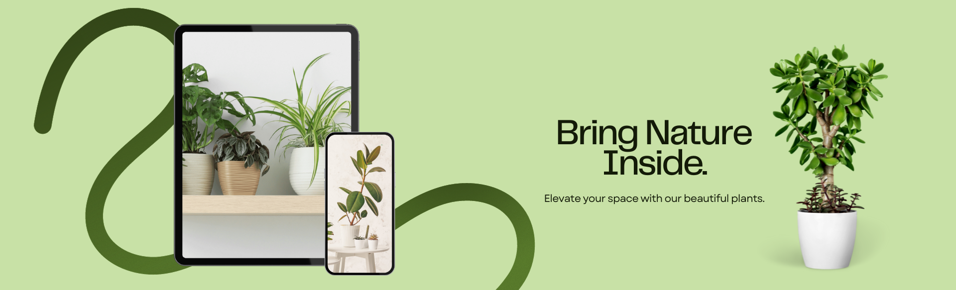 "Spruce up Your Space with Jenn Online: Enhance Your Décor with Stylish Indoor Plants Available for Purchase!"